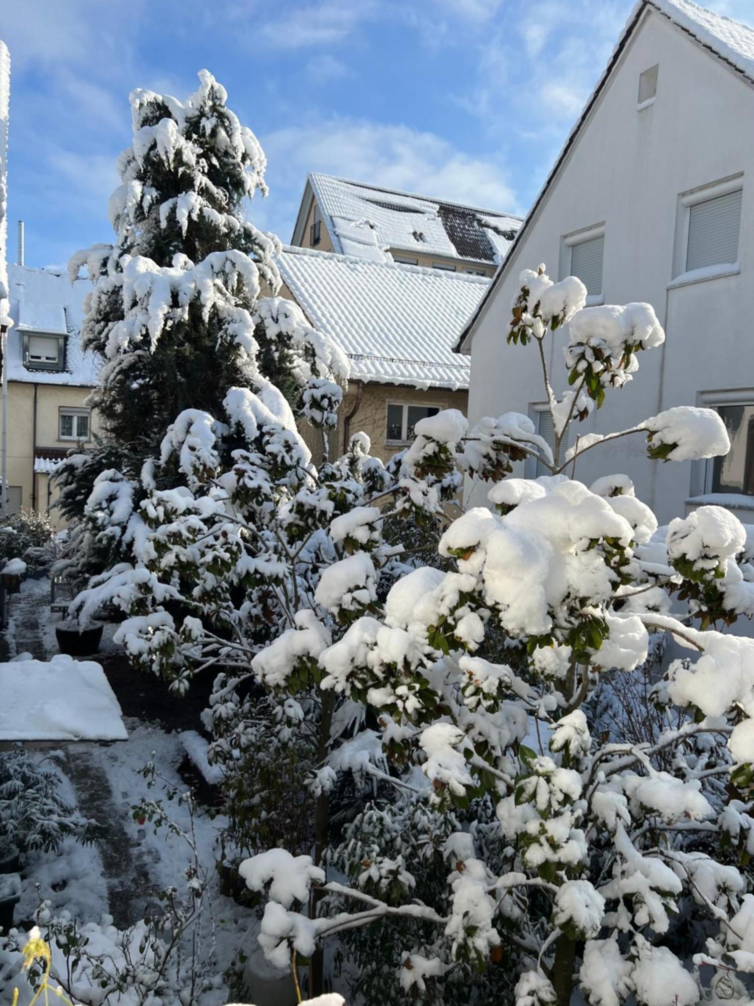 Haus Pia Executive Apartments Friedrichshafen Zewnętrze zdjęcie